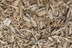 biomass boilers Sedbury