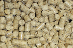 Sedbury biomass boiler costs